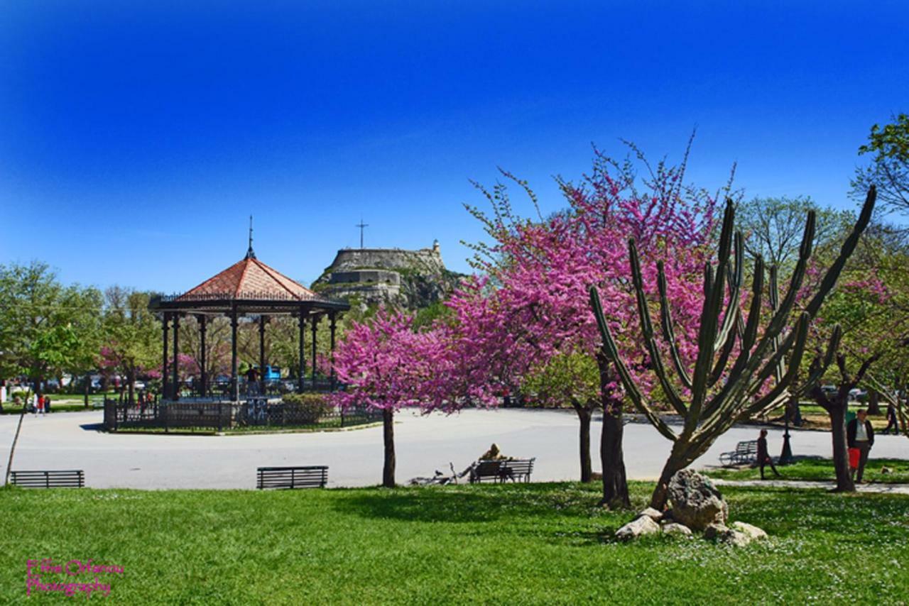 Marlera Corfu Old Town Apt 외부 사진